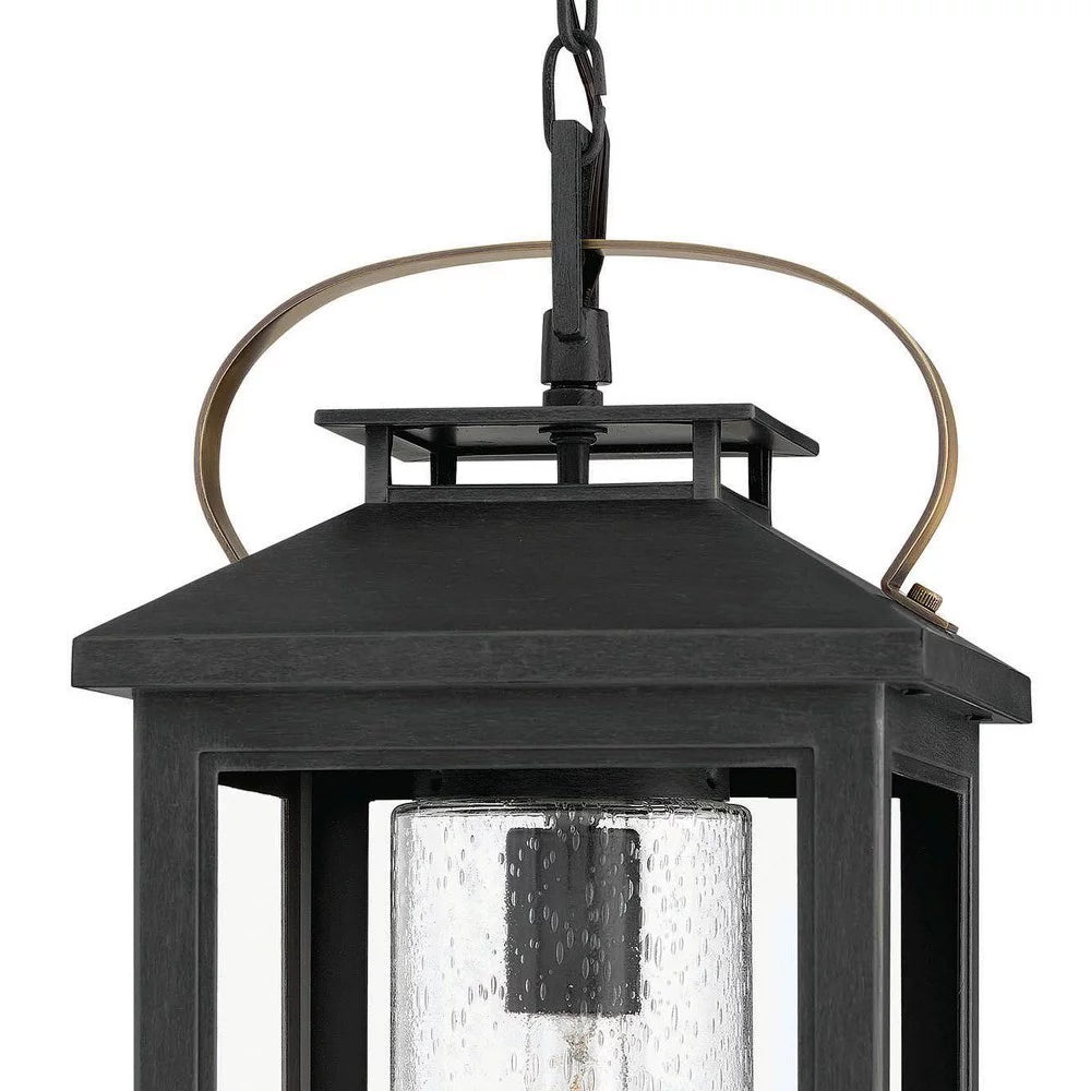 1 Light Medium Outdoor Hanging Lantern in Traditional-Coastal Style 9.5 inches Wide By 21.5 inches High-Black Finish-Led Lamping Type-E26 Medium
